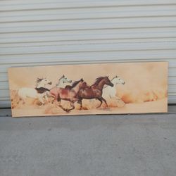 Horse Canvas Picture