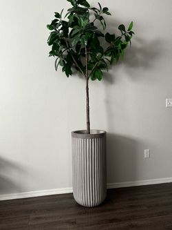 Pottery Barn Ribbed Concrete Planter