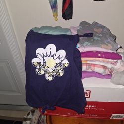 Little Girls Shoes, Socks, T-shirts, Hoodies, Clothing  Stroller,  Toys. Size 3t - 5t