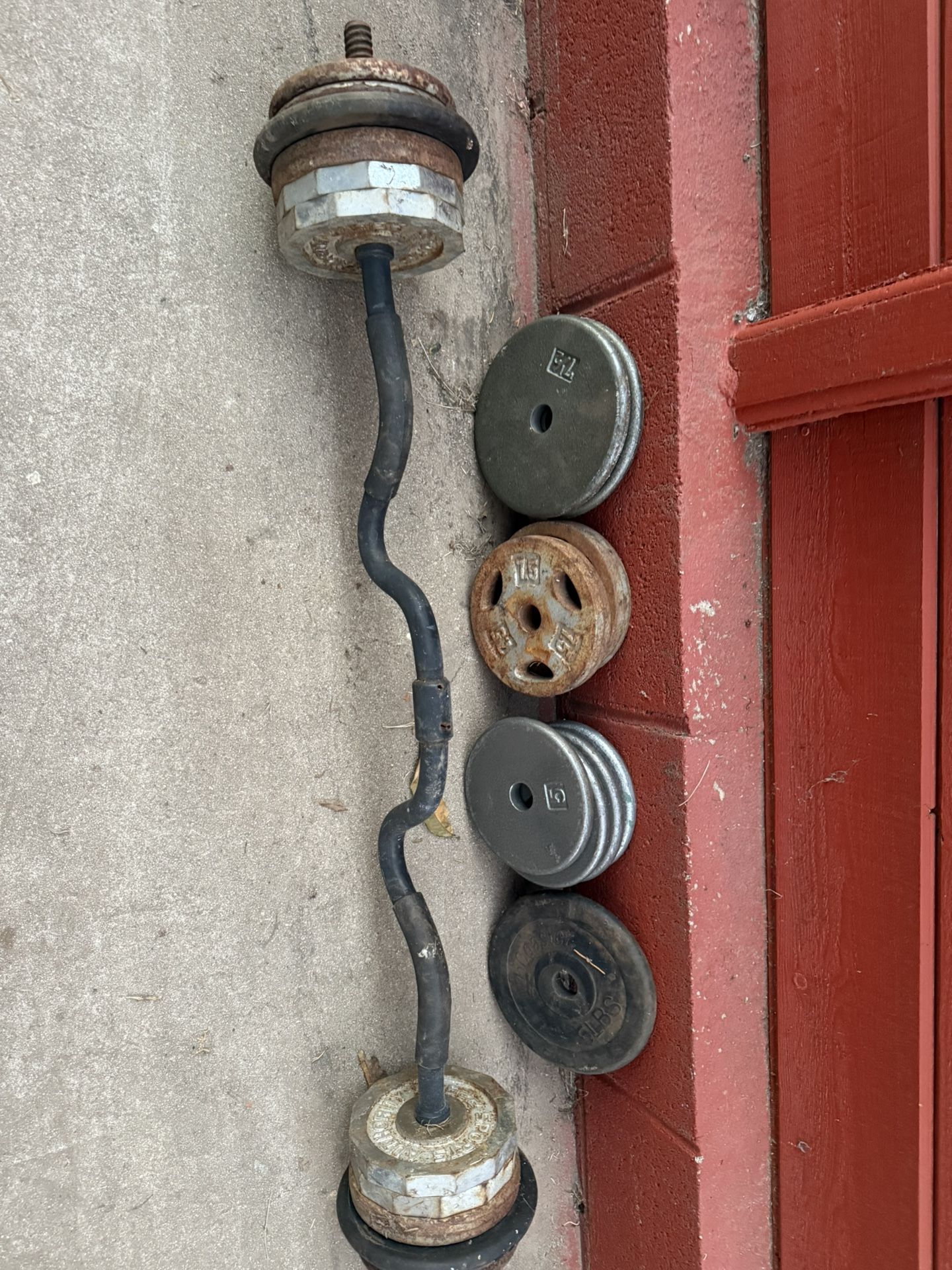 Standard Weight With Curl Bar