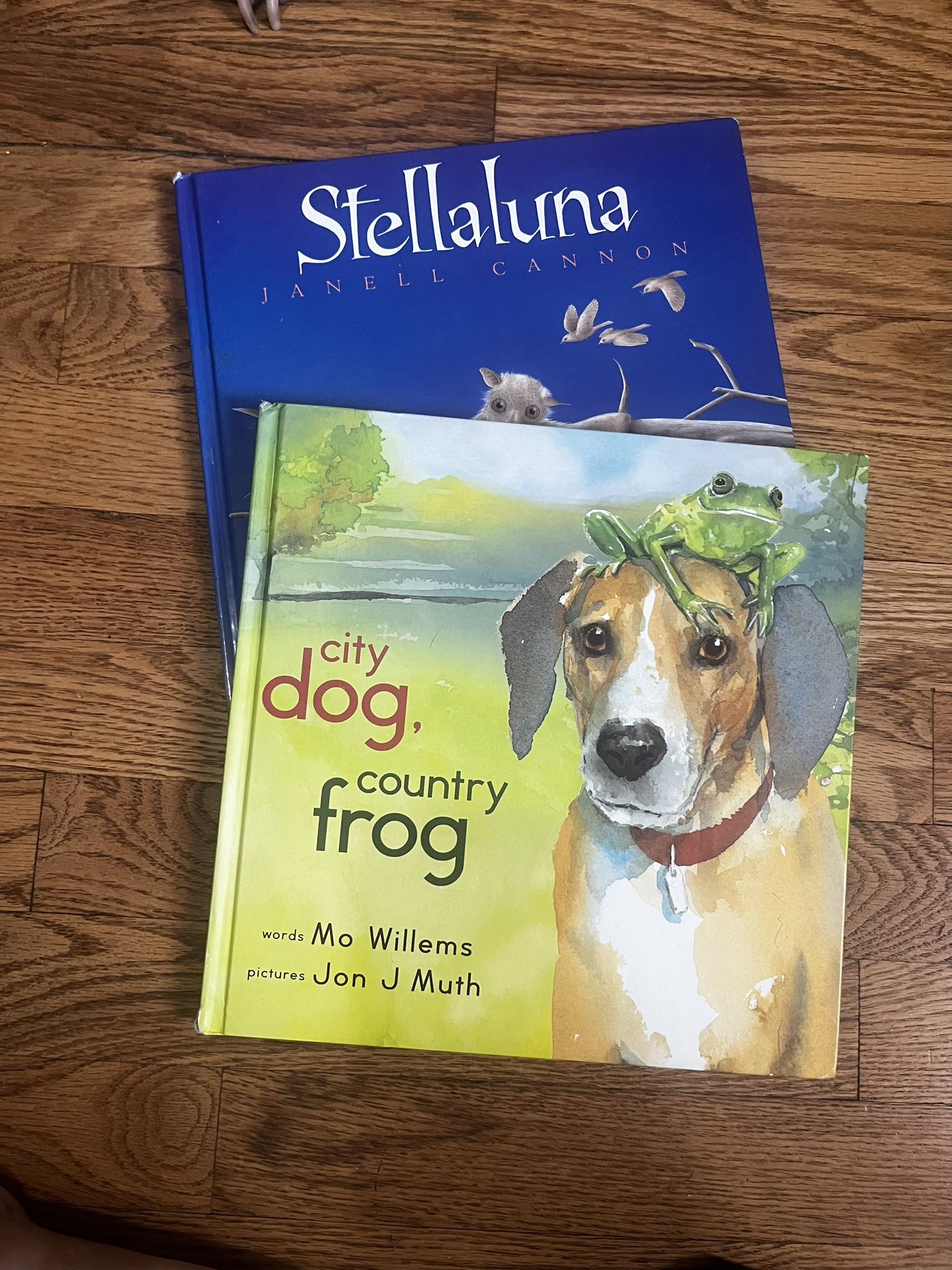 Beautiful Hardcover Storybooks
