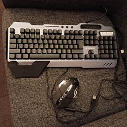 Mouse and keyboard