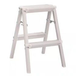 2 Ft Ladder