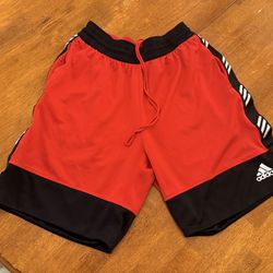 Adidas shorts xl men