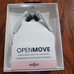 Wireless Headphones