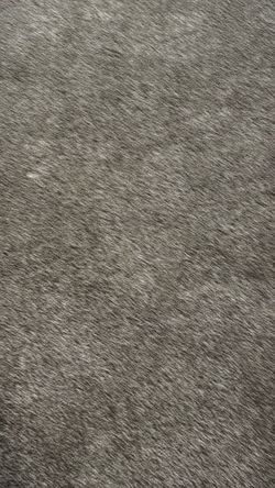 Carpet remnant