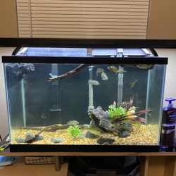 30 Gallon Aquarium 