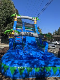 Fun In The Sun