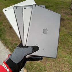 iPads 5 / 6 / 8 / Pro