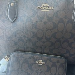 Coach Purse And Wallet