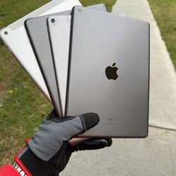 iPads 5 / 6 / 8 / Pro