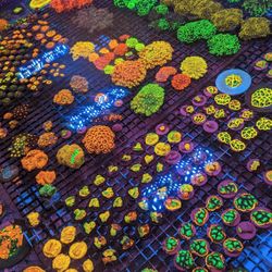 Saltwater Aquarium Reef Tank Coral Decorations Coral Frags Decor Home Made 