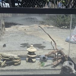 12 Gallon Fish Tank