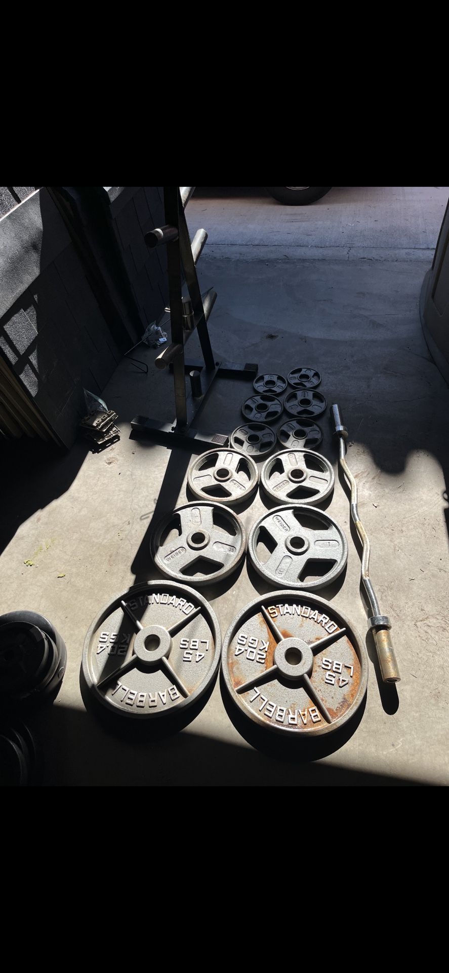 Olympic Weights With Curling Bar and Stand