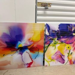 Cuadros De Acrílico 