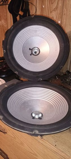 12in 4oms speaker