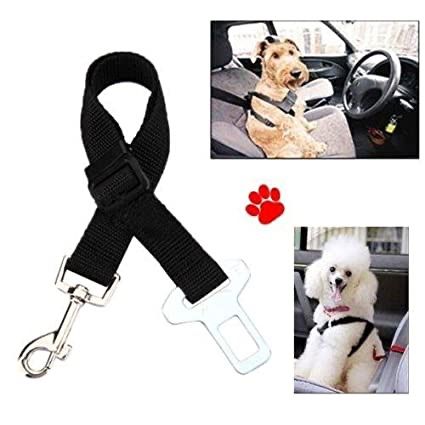 Seatbelts for a dog