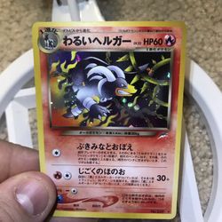 Pokemon Vintage Holos Neo Destiny