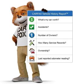 Report For Car And Bikes