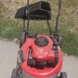gas lawn mower 