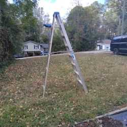 Werner 8 Ft Ladder