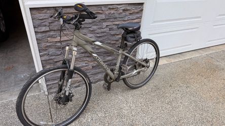 Giant Iguana Mountain Bike