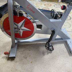 Sunny Exercise Bike 