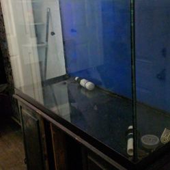 120 gallon Fish Tank With Filter And Stand
