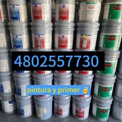 Paint Interior And Exterior 