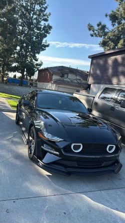 Mustang Hood