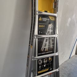Gorilla ladder 25’9” Feet 