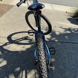 Co-op DRT 1.0 Kids/XS Mountain Bike REI