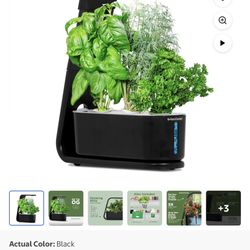 AeroGarden Sprout Indoor Garden Gourmet Herbs Kit Black