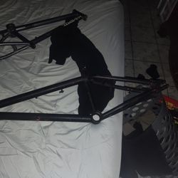 Bmx Frame