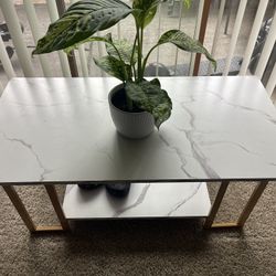 Living Room Coffee Table