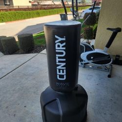 Punching Bag - Century 