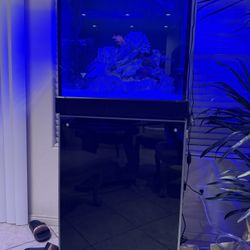 45 Gallons Saltwater Tank