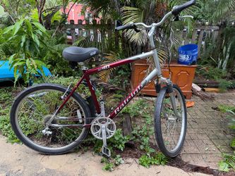Raleigh SC40 MTB Bike Hybrid XL