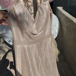Gold Champagne Long Dress XL