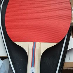 New Ping Pong Paddle Spin Dragon 10 Firm