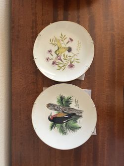 Puerto Rico Bird Plates Pájaros Autóctonos de Puerto Rico