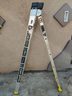 14ft Gorilla Ladder | Escalera