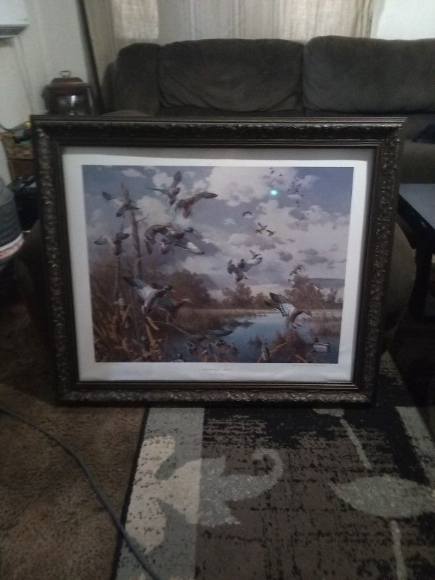 Harry Curieux Adamson