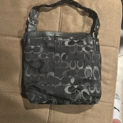 Real Coach Purse
