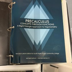 Precalculus Concepts Through Functions 