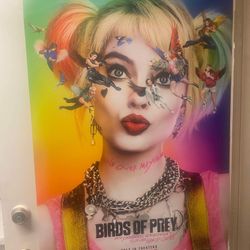 Birds Of Prey.  27x 40 Double Sided Movie Poster