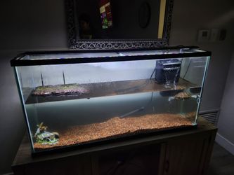 Fish Tank