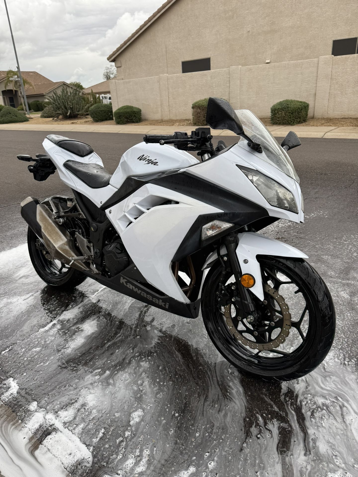 2016 Kawasaki NINJA 250 Sportbike 