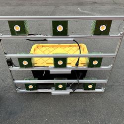 Timber Cob Grow Light 