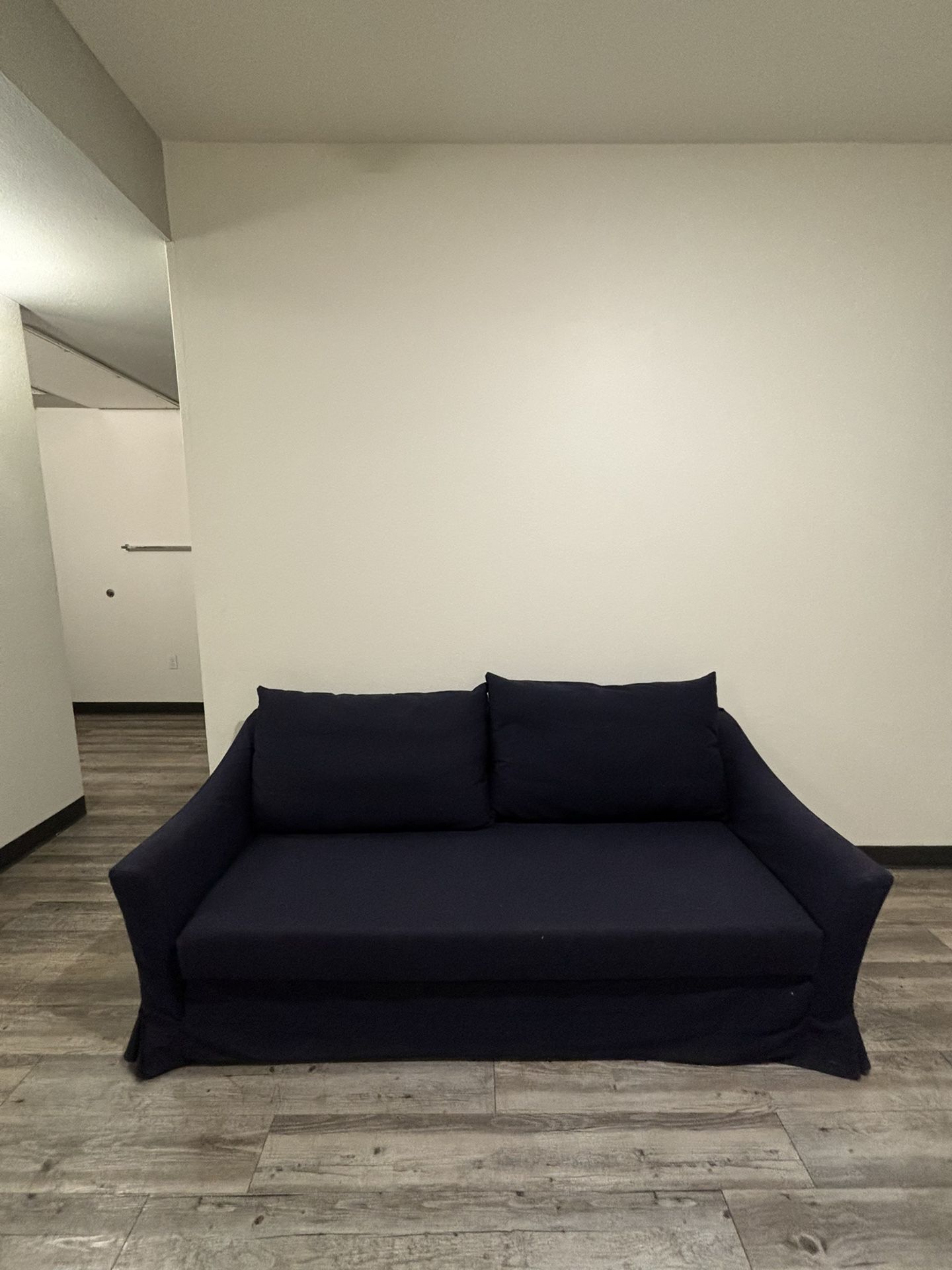 Futon Pull-Out Couch